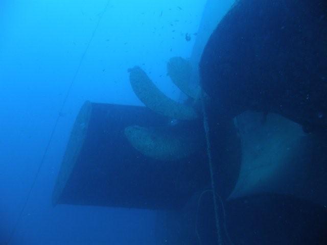 P9200054