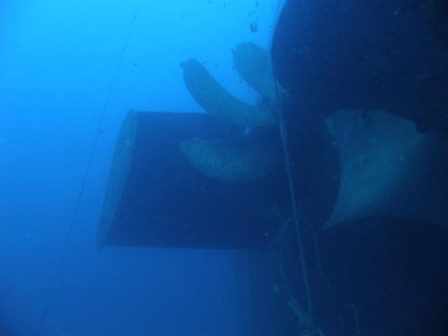 P9200055