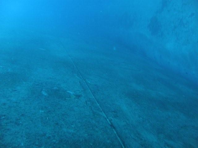 P9200058