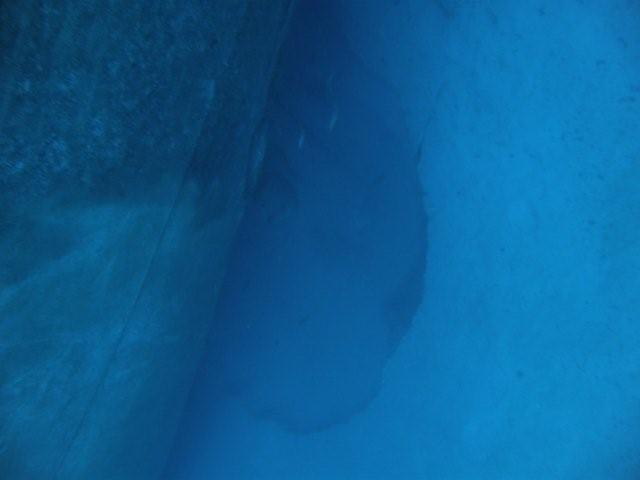 P9200060