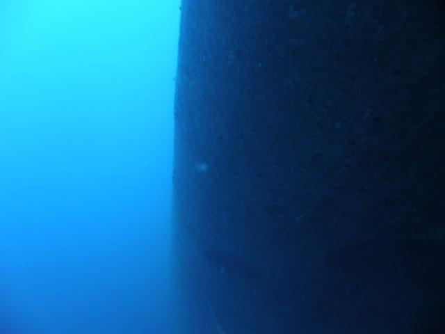 P9200068
