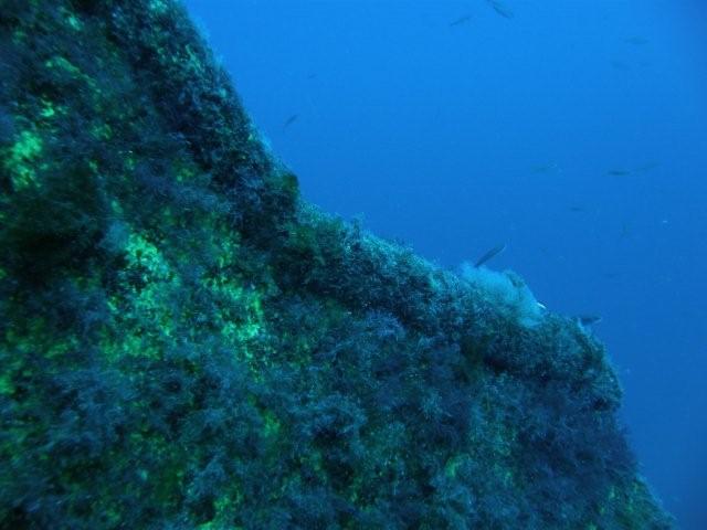 P9200082