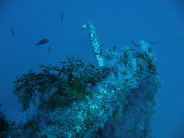 P9200083