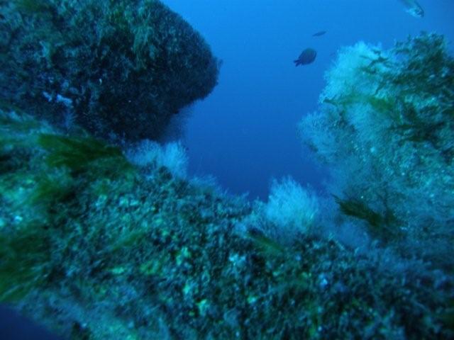 P9200084