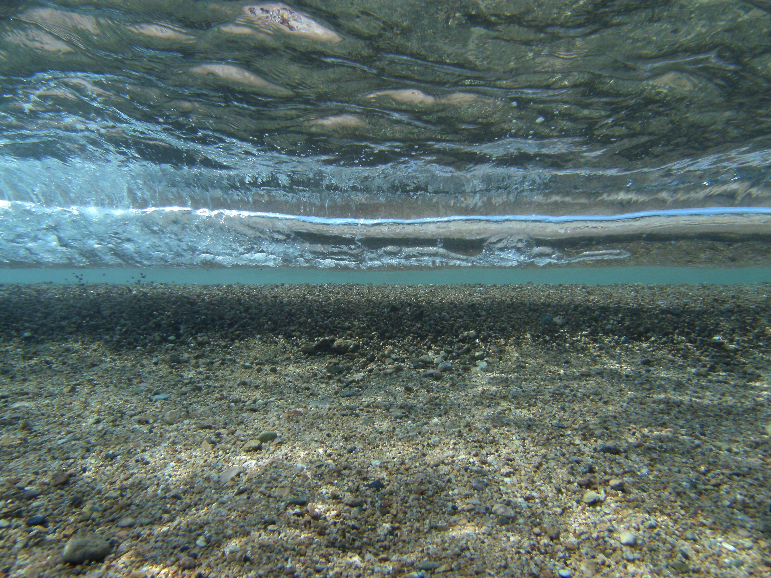 P9200095 1