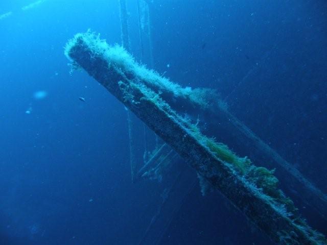 P9200097