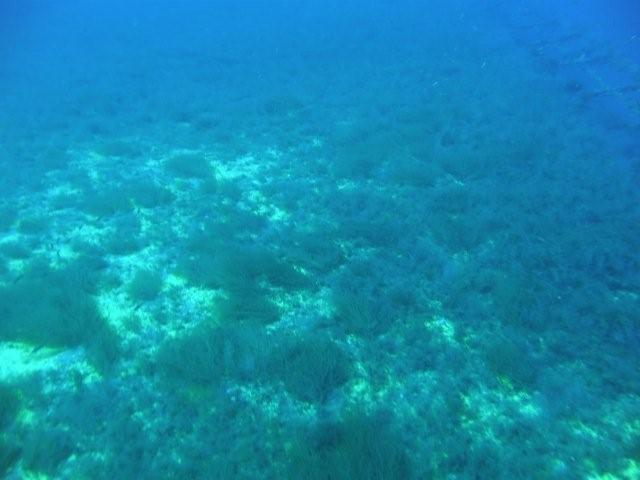 P9200106