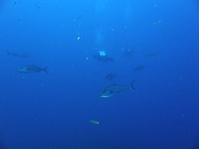 P9200109