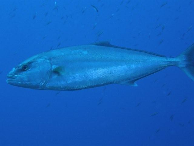 P9200110