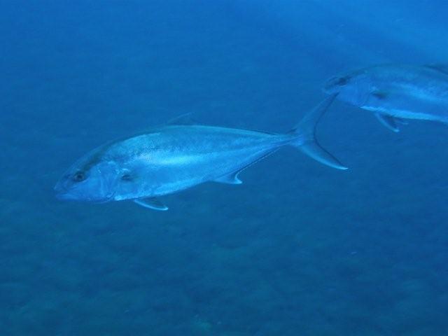 P9200114