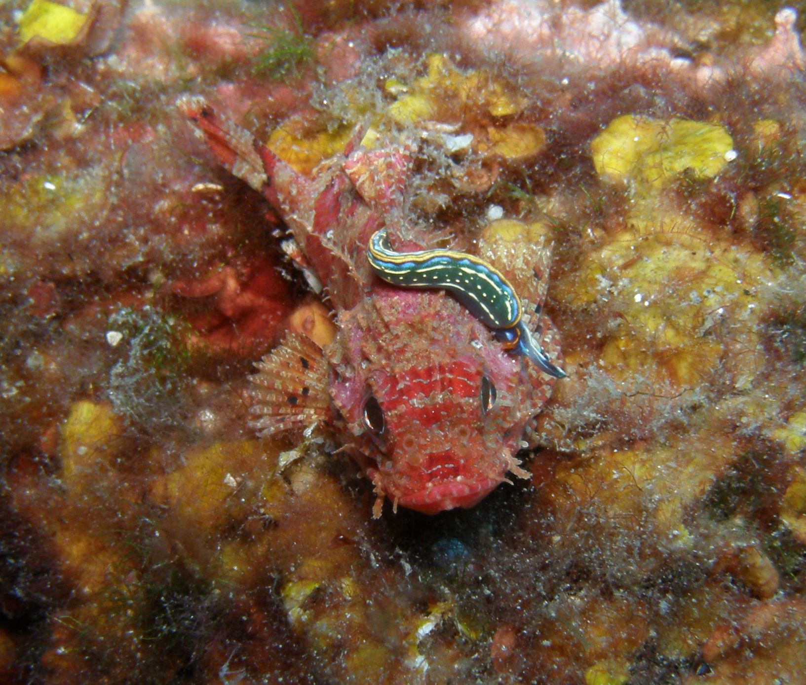 P9250053
