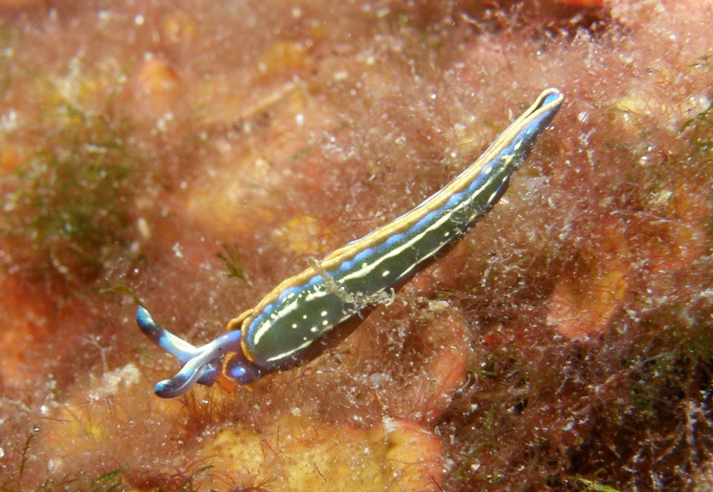 P9250059