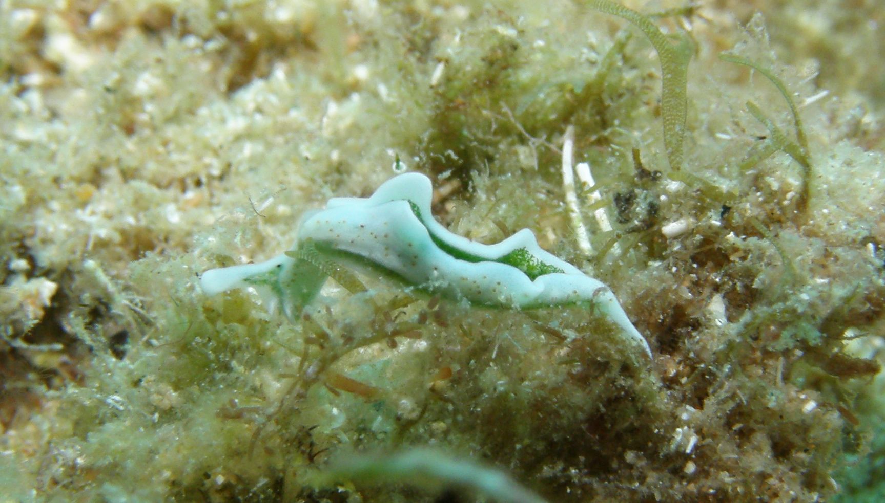 P9290109