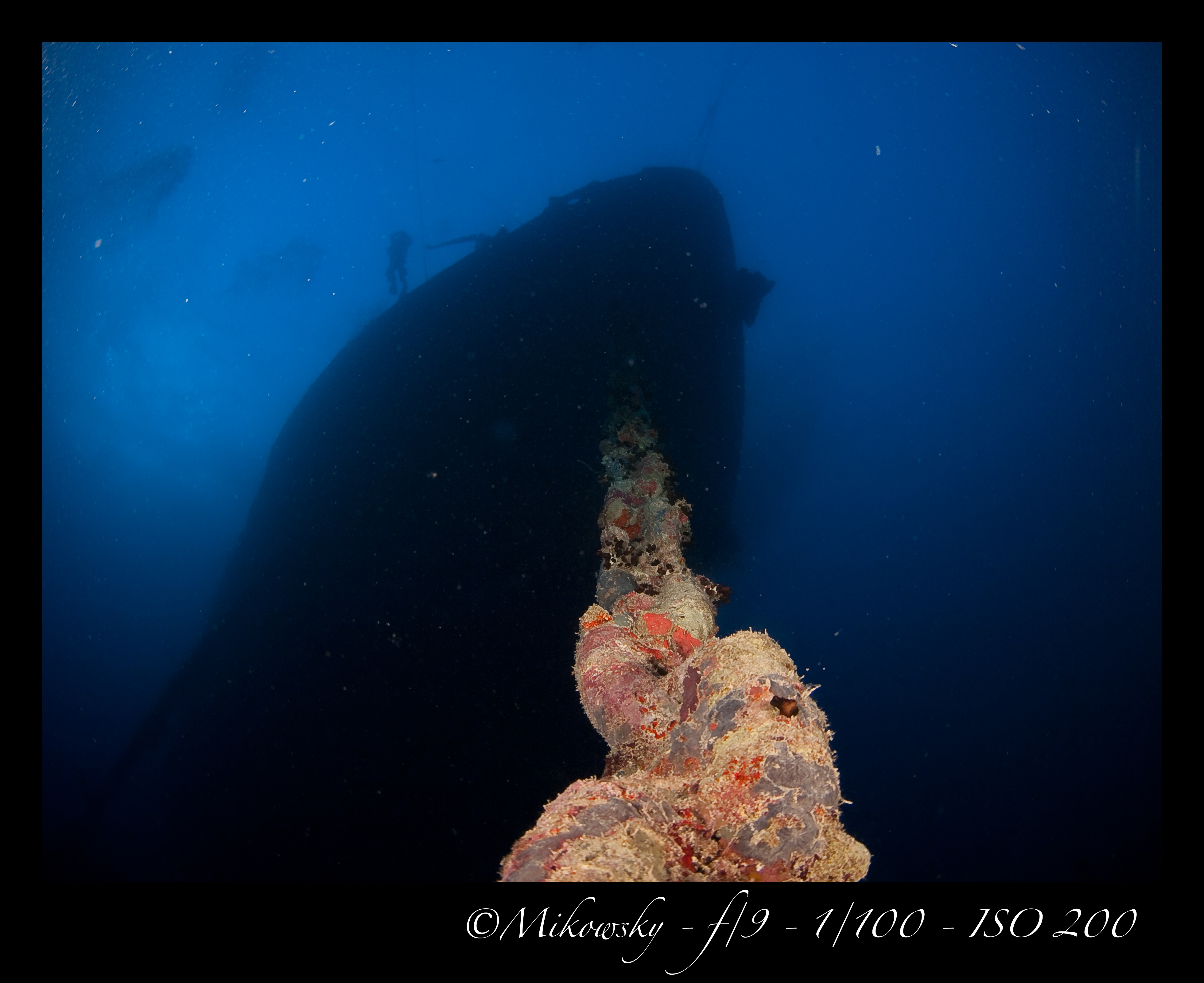 PB159959