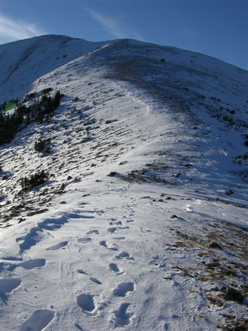 Picture 010