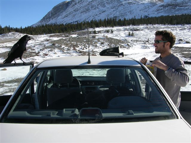 Picture 022