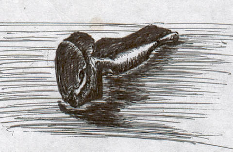 Shell 2