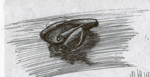 Shell