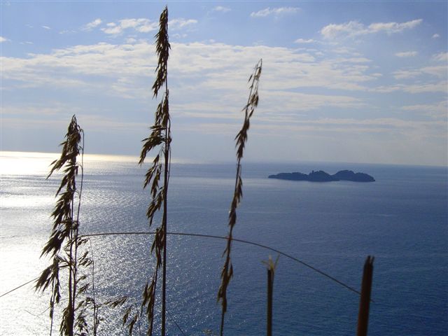 costa marfitana 14