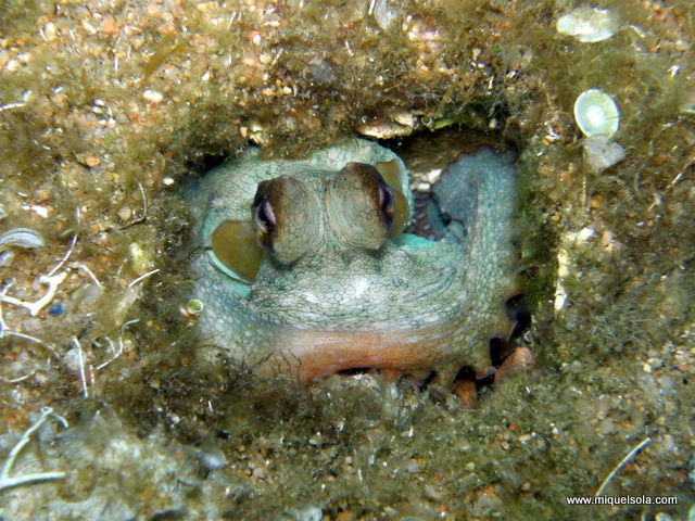 p8250045