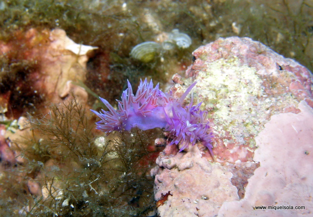 p9010012