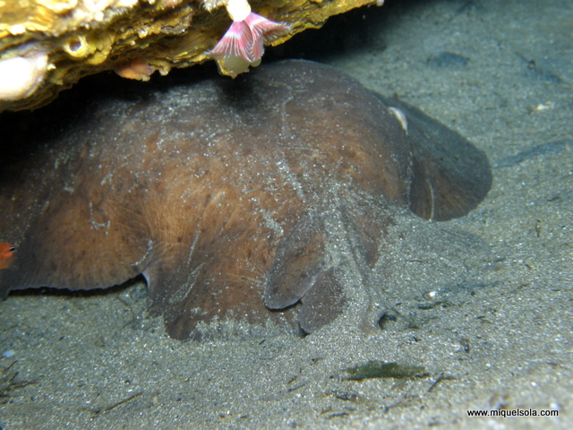 p9020059