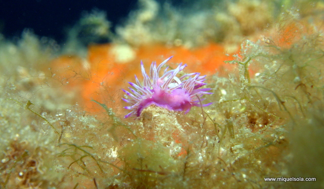 p9030054