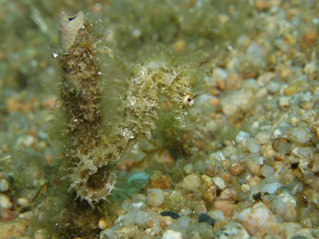p9140105