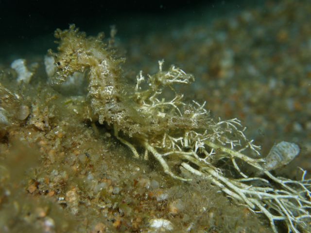p9140189