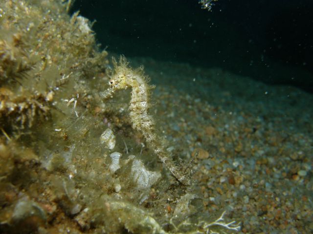 p9140195