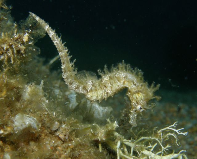 p9140205