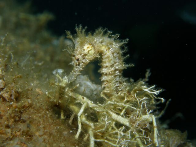 p9140223