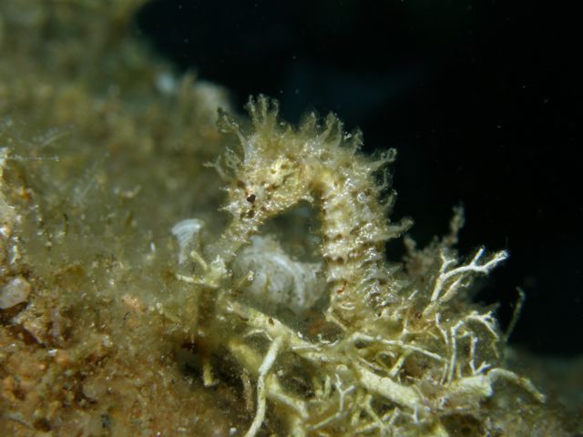 p9140224